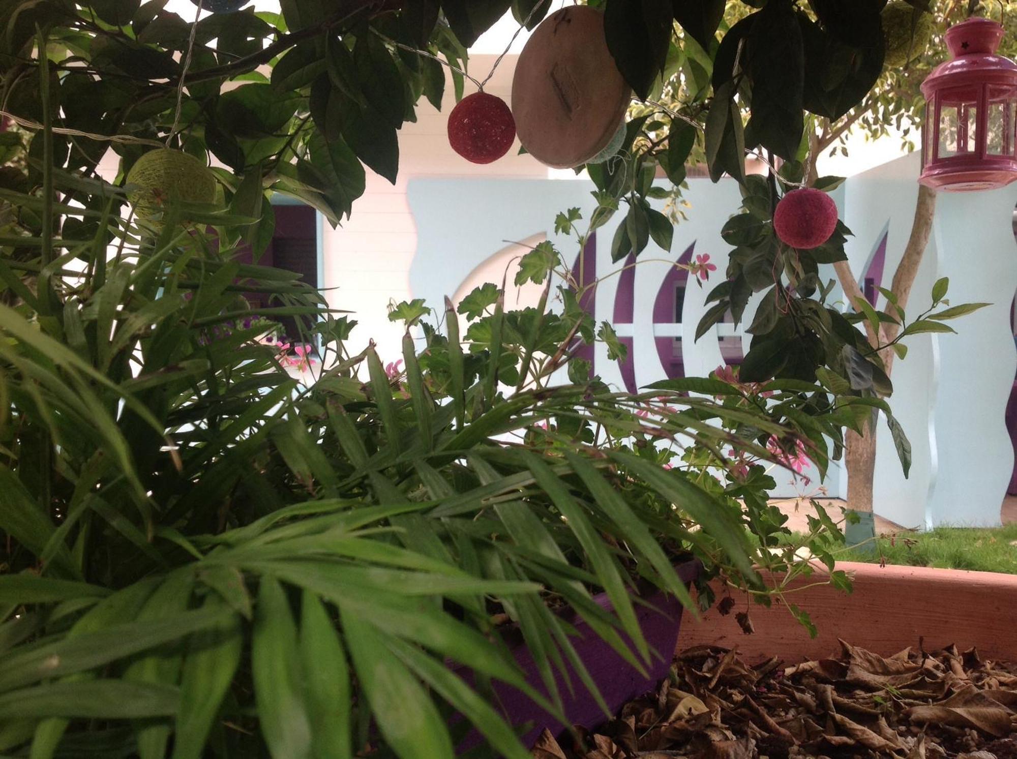 A Casa Di Lolu Acomodação com café da manhã Grottammare Exterior foto